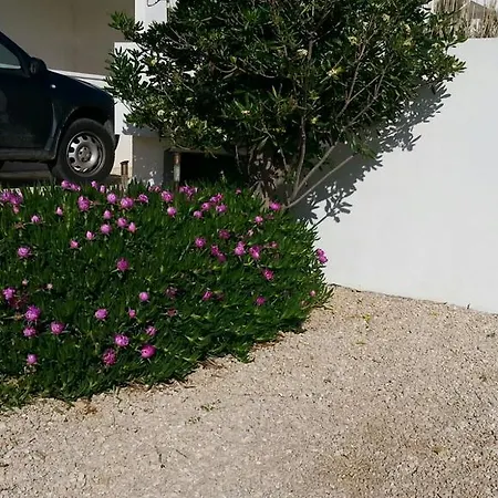 Apartman Sol *